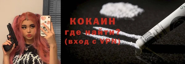 Альфа ПВП Лагань
