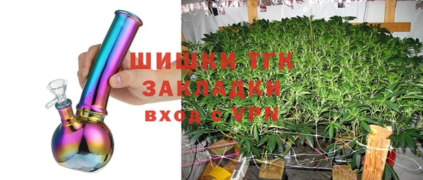 Альфа ПВП Лагань
